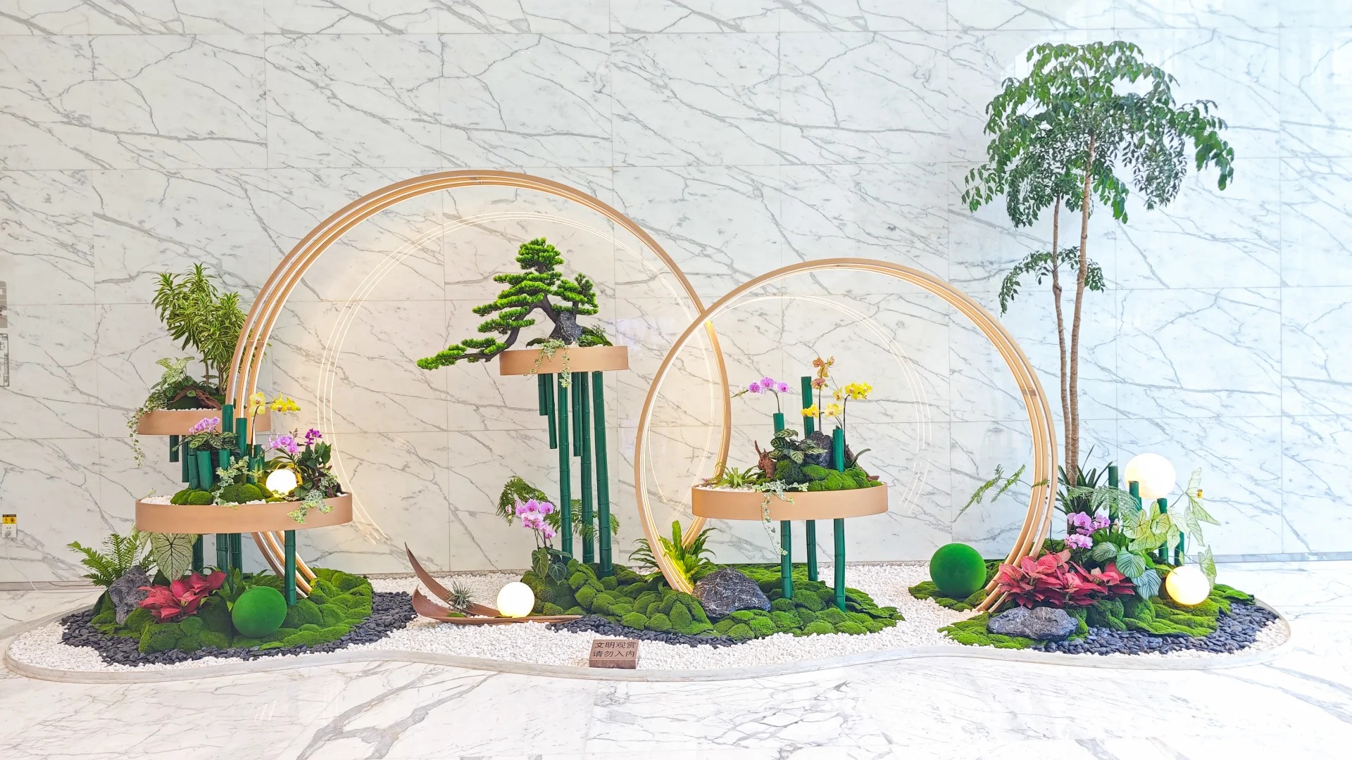 余姚盆景租摆哪家优？看这篇攻略就知道！